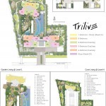 Site Map, Floor Plan and Location of Trilive